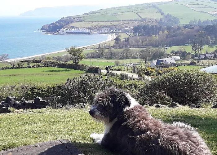 Beachview Cottage Co. Antrim